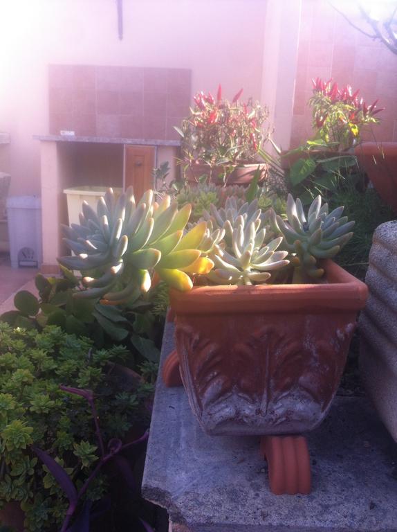 Bed And Breakfast Letterario Fiumicino Exterior photo