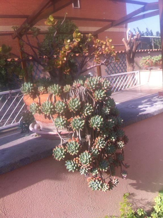 Bed And Breakfast Letterario Fiumicino Exterior photo
