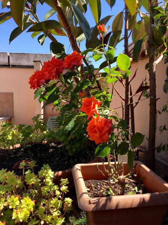 Bed And Breakfast Letterario Fiumicino Exterior photo