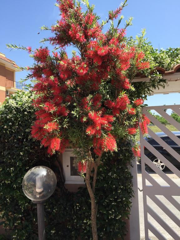 Bed And Breakfast Letterario Fiumicino Exterior photo